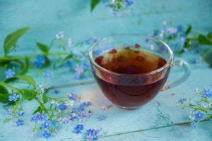 11+ Benefits ng Sambong bilang Herbal na Gamot.